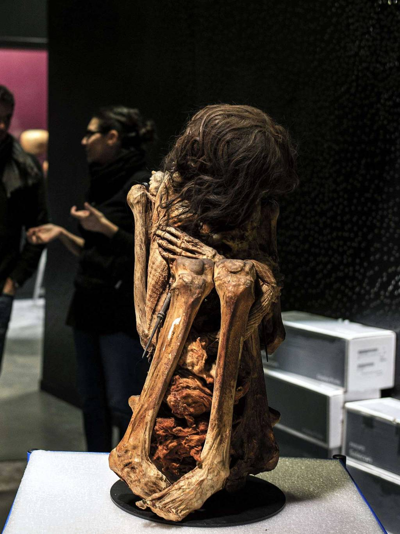 Illustration for article titled This Incredible Peruvian Mummy Is About To Go On Public Display
